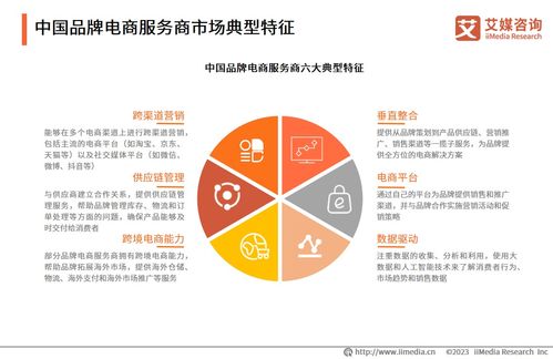2023年中國品牌電商服務(wù)商行業(yè) 需求增長與咨詢服務(wù)發(fā)展展望